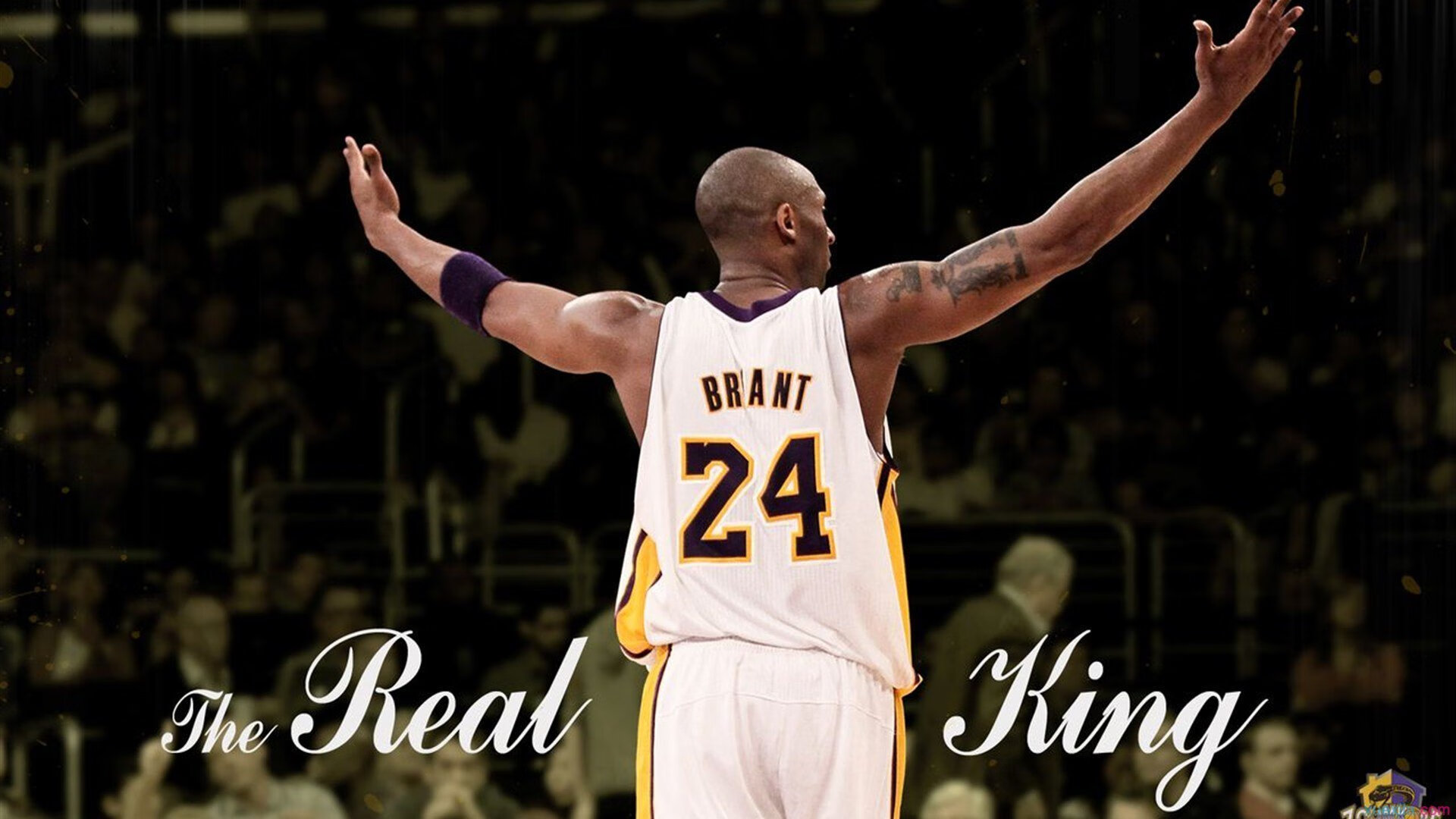 劳塔罗爆发,厄瓜多尔血拼卡塔尔,南美足球的生存之战与荣耀之光